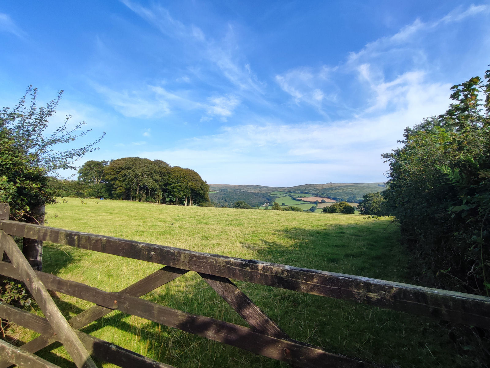 Why Holiday in Devon